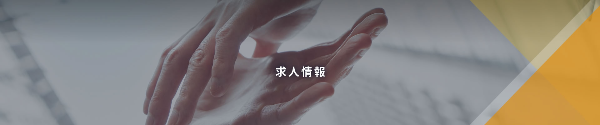 求人情報